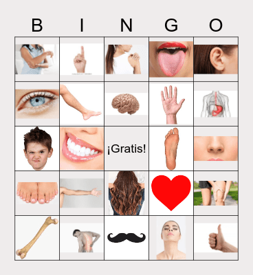 3.1 El cuerpo Bingo Card