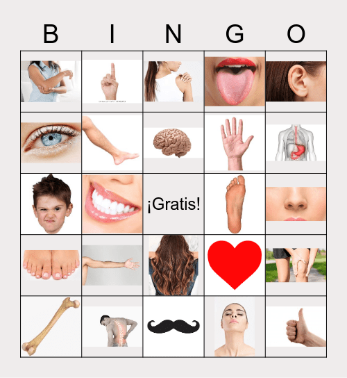3.1 El cuerpo Bingo Card
