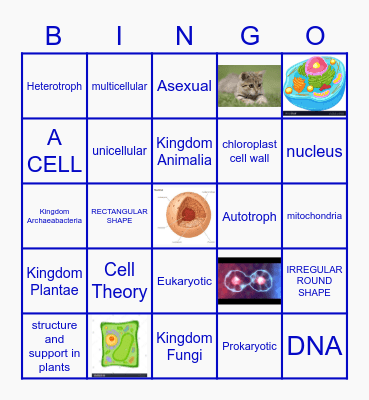 Six Weeks Review Bingo Card