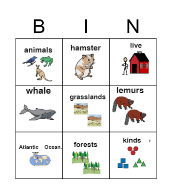 Endangered Species Bingo Card