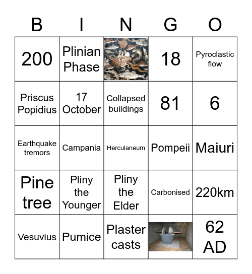 Pompeii Survey Bingo #1 Bingo Card