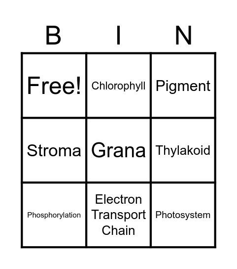 Biology Module 5 Bingo Card