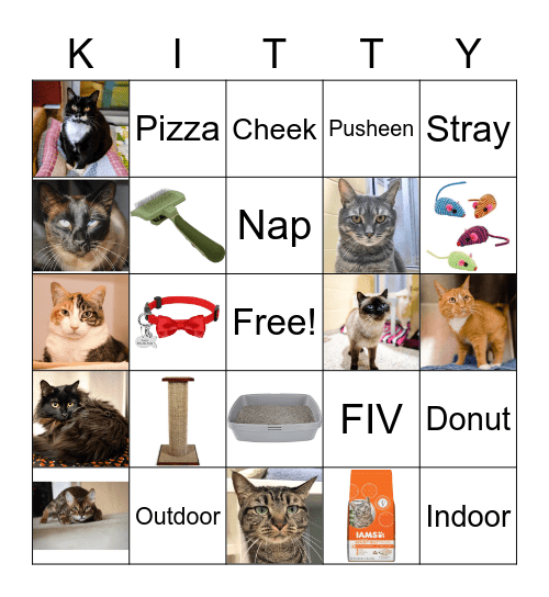 Cats Bingo Card