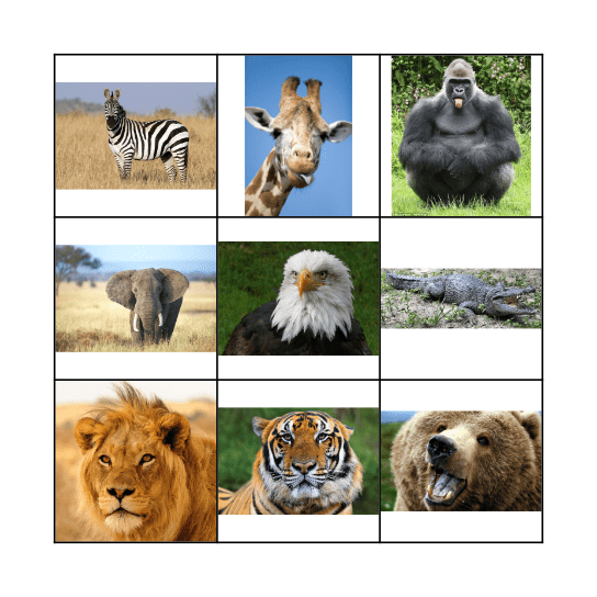 Animales del Zoológico Bingo Card