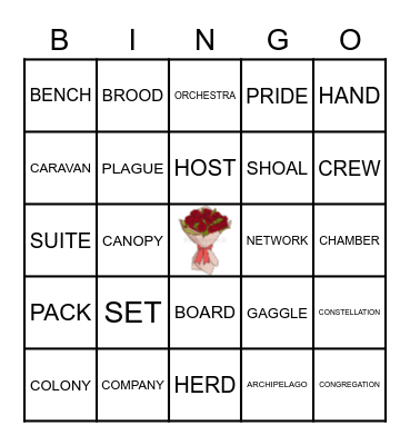 COLLECTIVE NOUNS Bingo Card