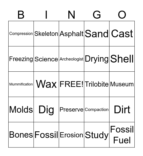 Fossils! Bingo Card