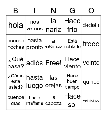 Spanish 1 Bingo Card