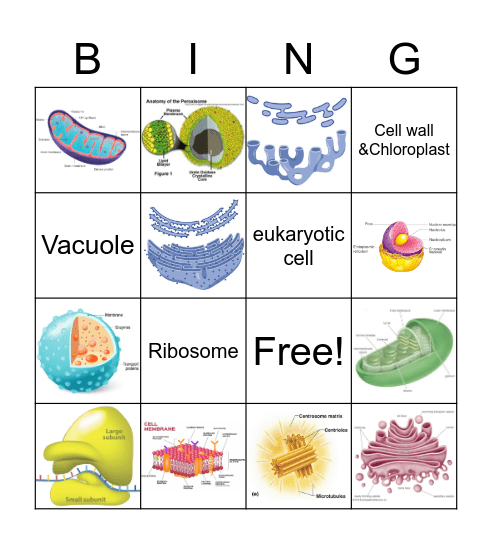 CELL Bingo Card