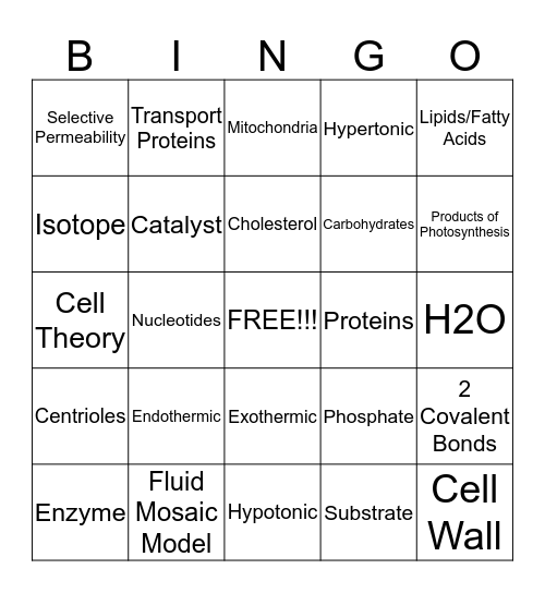 Chapter 6/7 Review Bingo Card