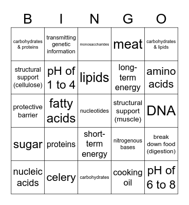Macromolecules & Enzymes Bingo Card