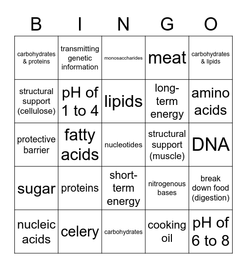 Macromolecules & Enzymes Bingo Card