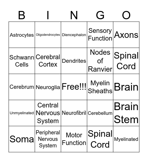 Nervous System Bingo Card