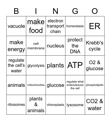 Cell Structures - Review Bingo Card