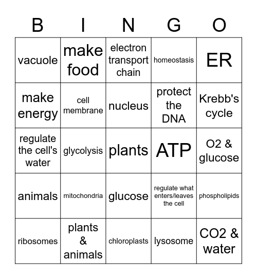 Cell Structures - Review Bingo Card