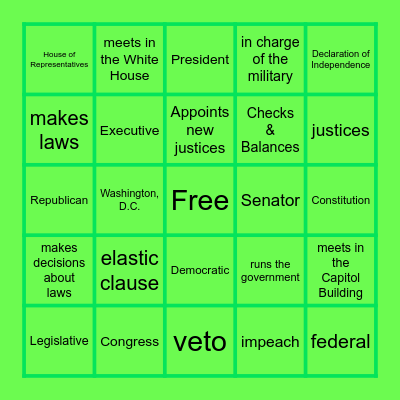 3 Branches of Government Bingo Card