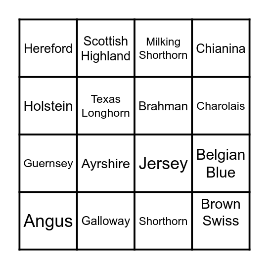 Cattle Breeds Bingo! Bingo Card