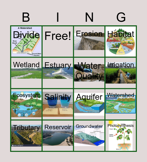 Watersheds and Wetlands Bingo Card