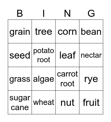 Food Source Bingo Card