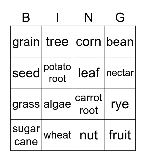 Food Source Bingo Card