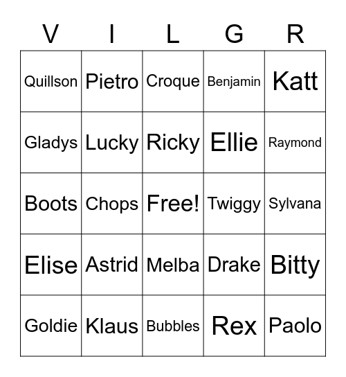 Animal Crossing Villager Bingo Card