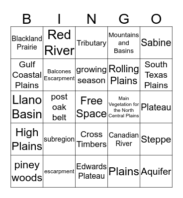 Texas Subregions Bingo Card