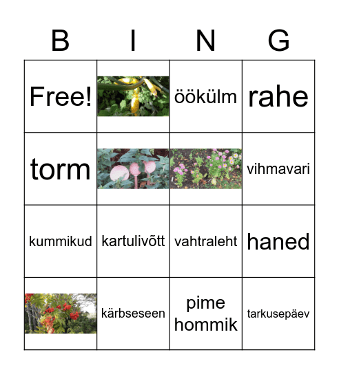 sügis Bingo Card