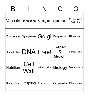 Life Functions & Cells BINGO Card