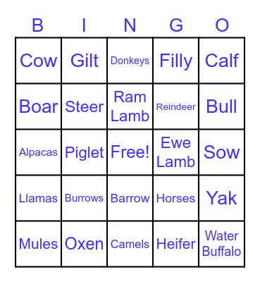 Animals Bingo Card