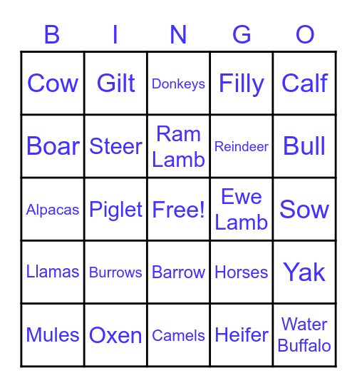 Animals Bingo Card