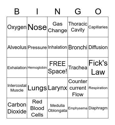 Respiratory System Bingo Card