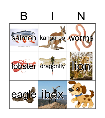 Animals Bingo Card