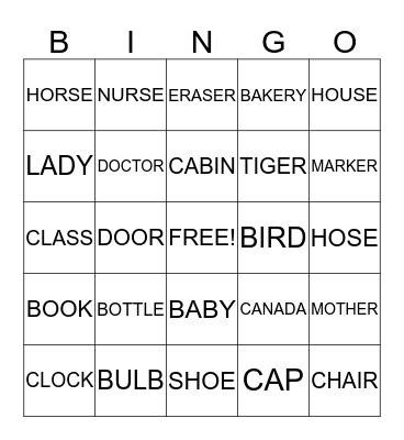 Nouns Bingo Card