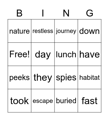 Vocabulary + Red Word Bingo Card