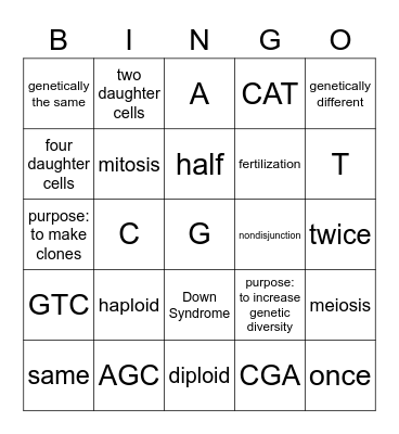 Meiosis & Replication Bingo Card