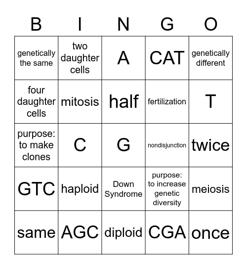 Meiosis & Replication Bingo Card