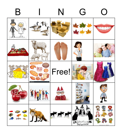 Irregular Plurals Bingo Card