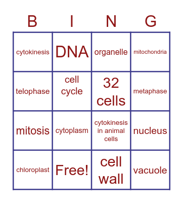 MITOSIS Bingo Card