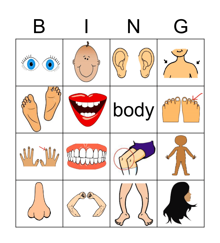 body-parts-bingo-free-printable-printable-word-searches