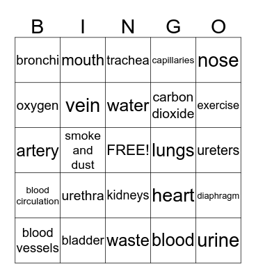 How our body works Bingo Card