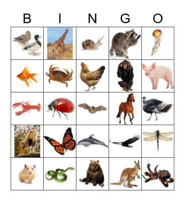 Animals Bingo Card