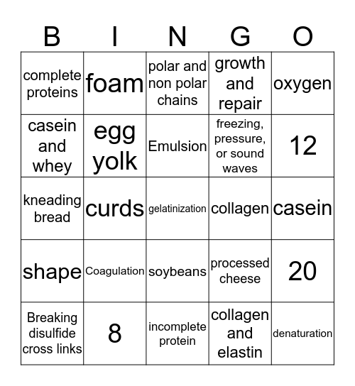 Protein Bingo Card