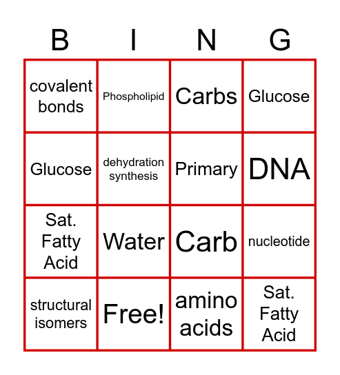 AP Biochem Bingo Card