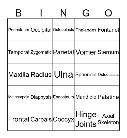 Skeletal System Bingo Card