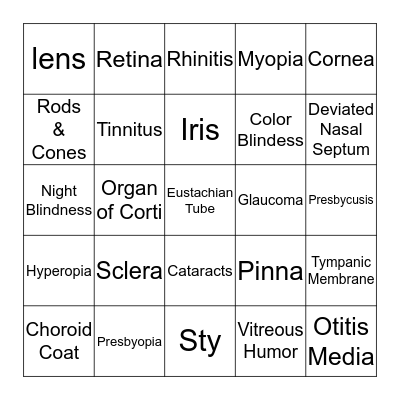 Special Senses Bingo Card