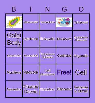 Cell Structures and Function Bingo Card
