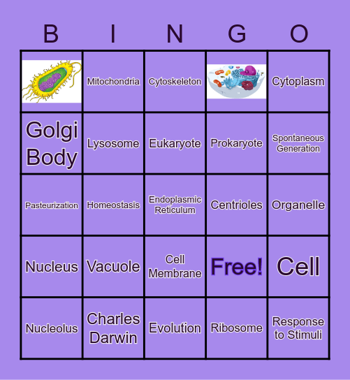 Cell Structures and Function Bingo Card
