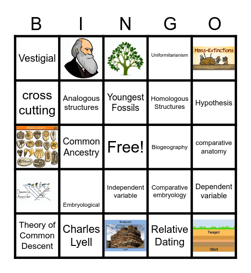 Evidence of Evolution Bingo Card