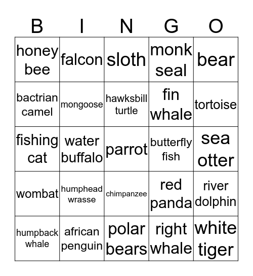 endangered animals  Bingo Card