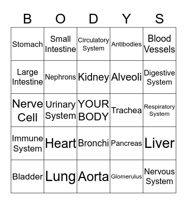 Body Systems Turin Bingo Card