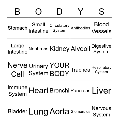 Body Systems Turin Bingo Card
